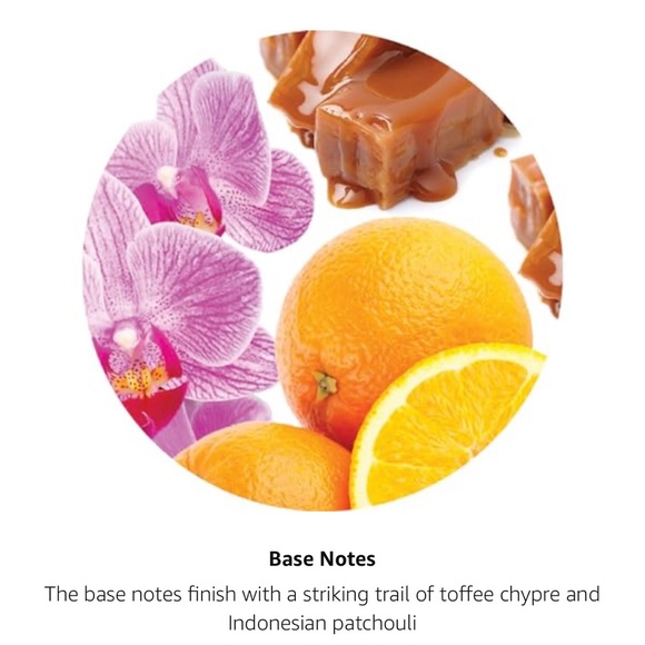 Jimmy Choo NISB - Picture 3 of 5